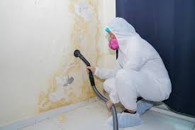 Best Asbestos and Lead Testing During Mold Inspection  in Lindsborg, KS